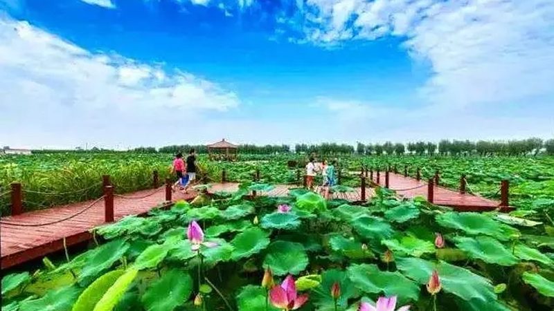 与传统农业生产方式相比，智慧农业种植系统具有以下优势：