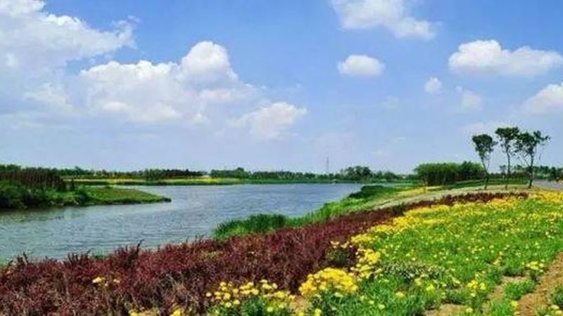 有机农业种植技术教程：视频下载指南**