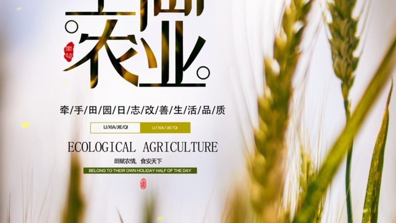 农产品配送成本核算：关键步骤与要点解析