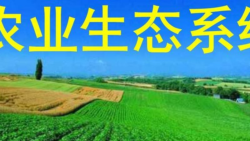 农资经营许可证办理：了解流程，把握时效
