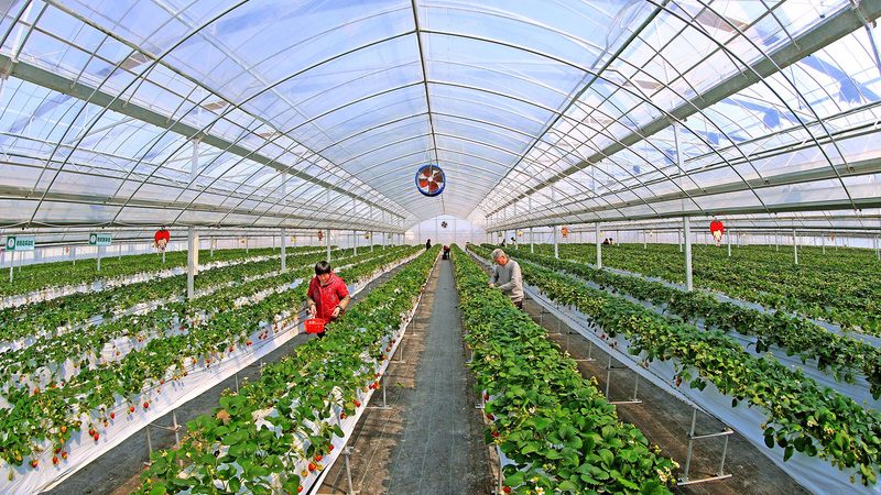 家庭农场拖拉机后挂农机具，如何选型更科学？**