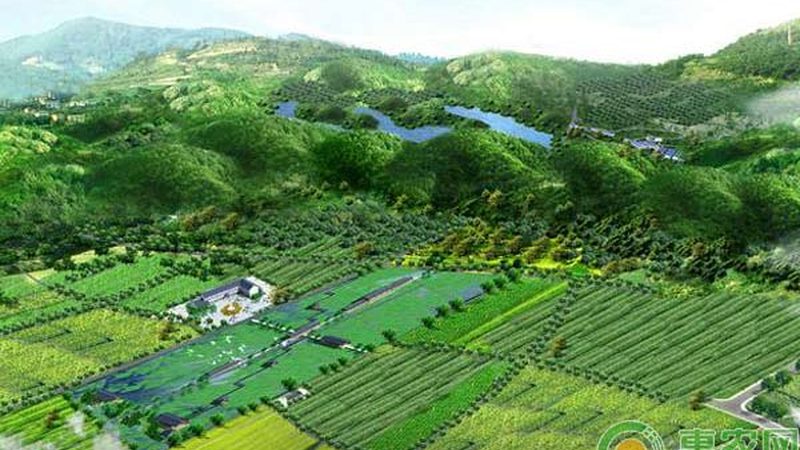 从“连栋大棚”到“植物工厂”，温室工程到底在升级什么
