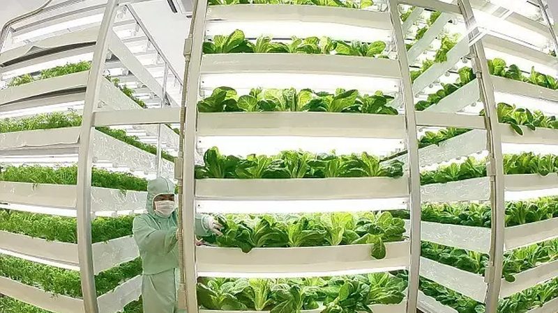 粮食种植公司资质要求：合规之路，品质保障