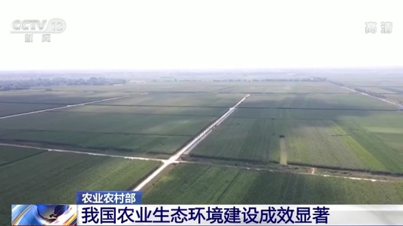 绿色食品与普通食品：选购背后的秘密
