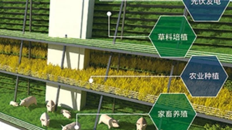 农资短视频获客技巧教程