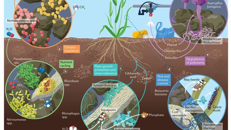 合作社分红排名的背后：种植效益的硬核标尺