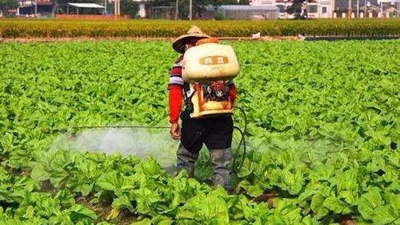 广州家庭农场营业执照办理全解析**